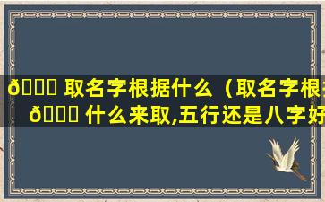 🍀 取名字根据什么（取名字根据 🐅 什么来取,五行还是八字好）